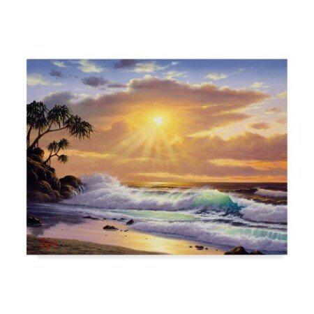 Trademark Fine Art Anthony Casay 'Light Over Beach' Canvas Art, 14x19 ALI20259-C1419GG